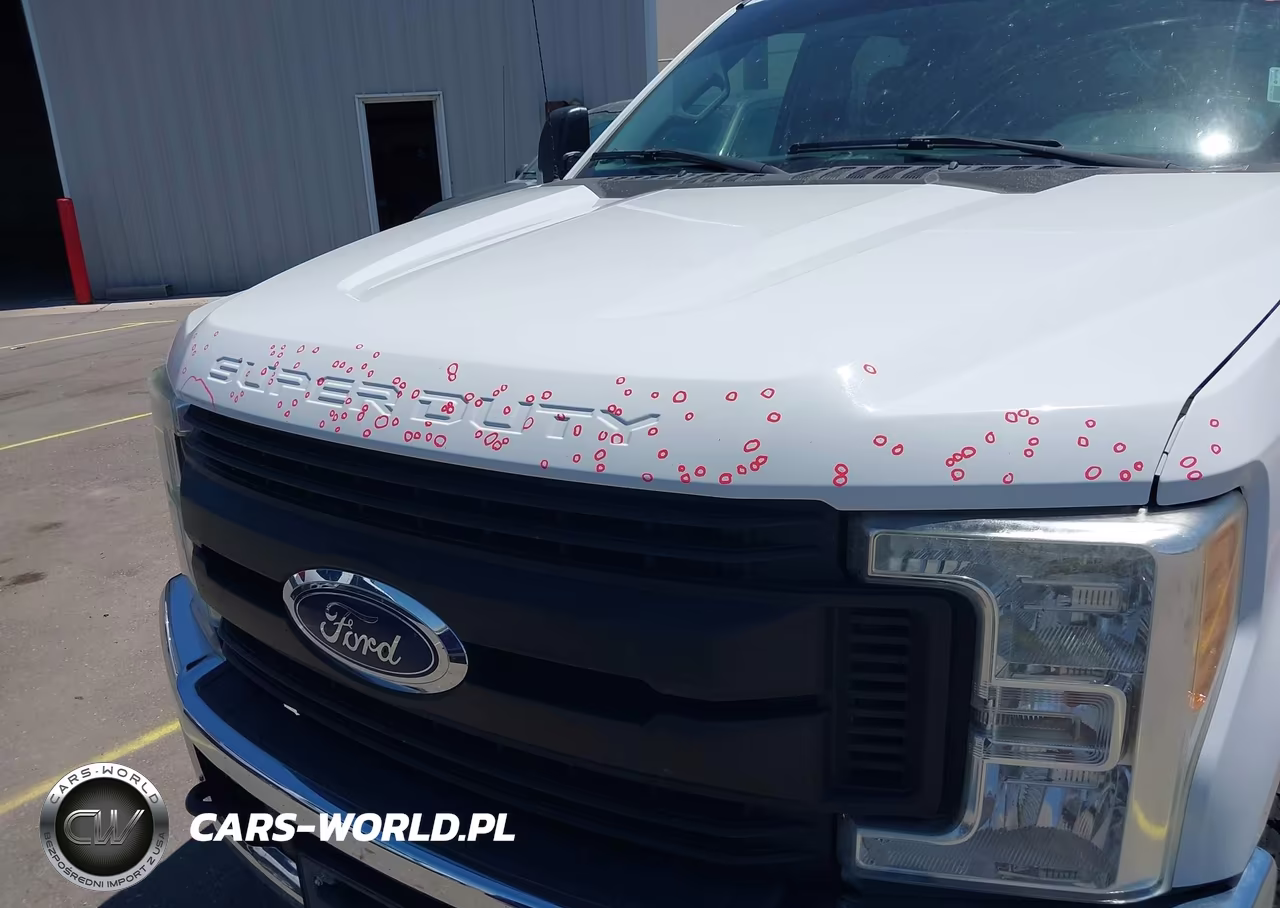 2017 Ford F-250 Xl VIN:1FT7W2B69HED73014 - 6