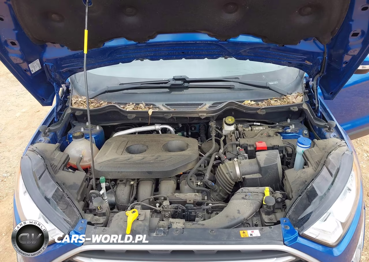 2022 Ford Ecosport Se VIN:MAJ6S3GL2NC465509 - 10