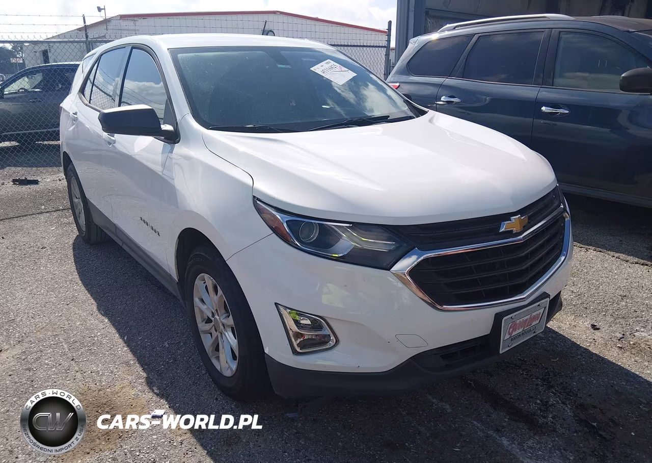 2019 Chevrolet Equinox Ls – zdjęcie 1 z 16