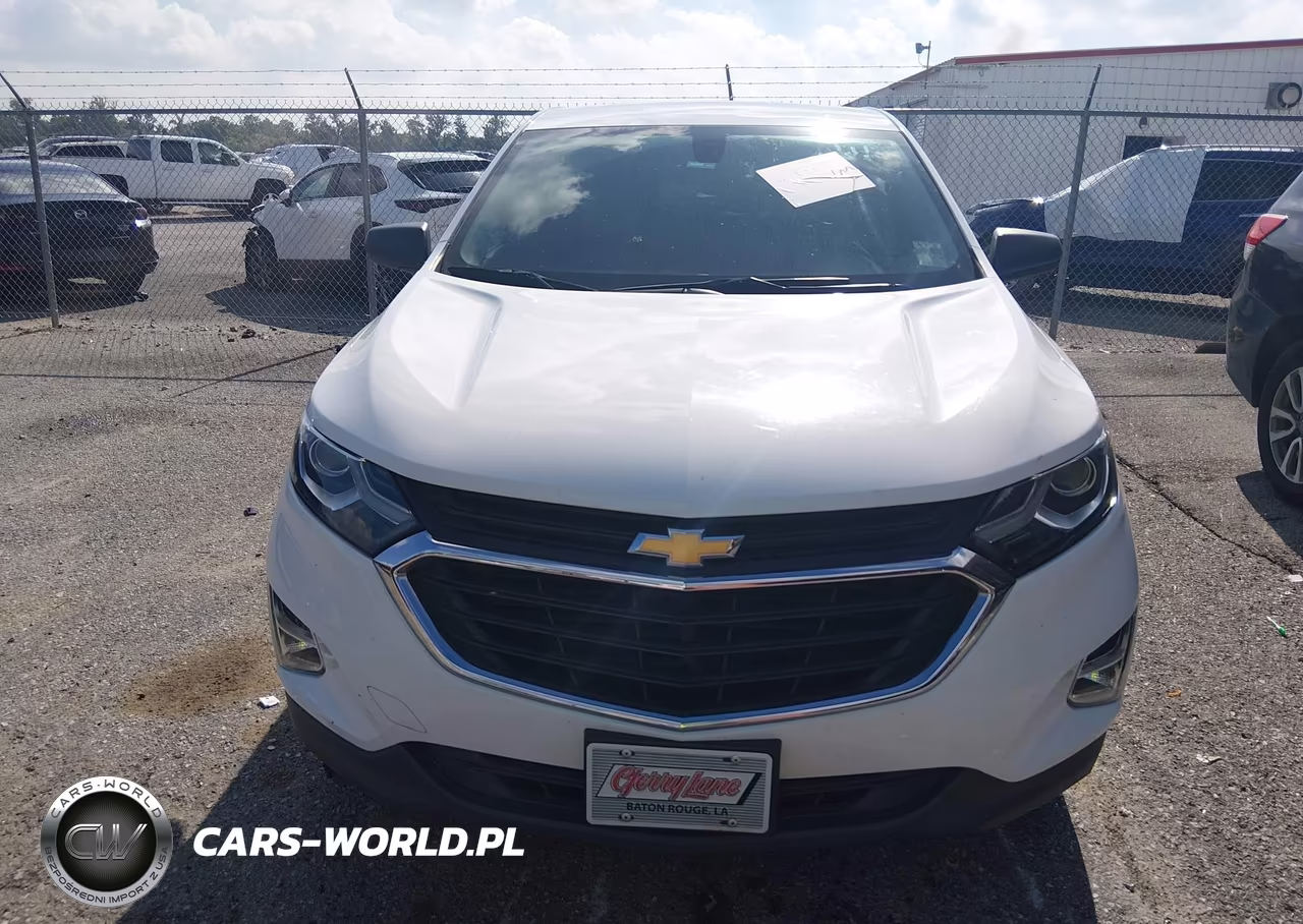 2019 Chevrolet Equinox Ls VIN:2GNAXHEVXK6103446 - 12