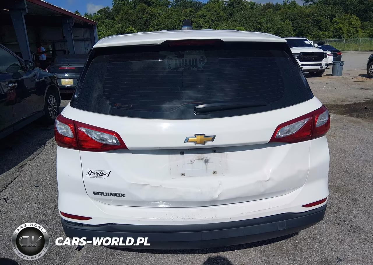 2019 Chevrolet Equinox Ls VIN:2GNAXHEVXK6103446 - 16