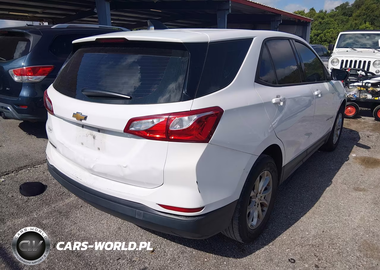2019 Chevrolet Equinox Ls VIN:2GNAXHEVXK6103446 - 4