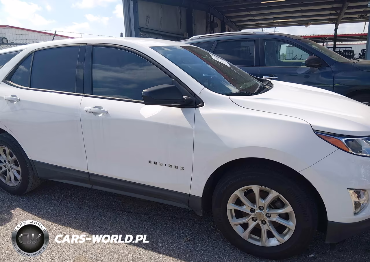 2019 Chevrolet Equinox Ls VIN:2GNAXHEVXK6103446 - 6