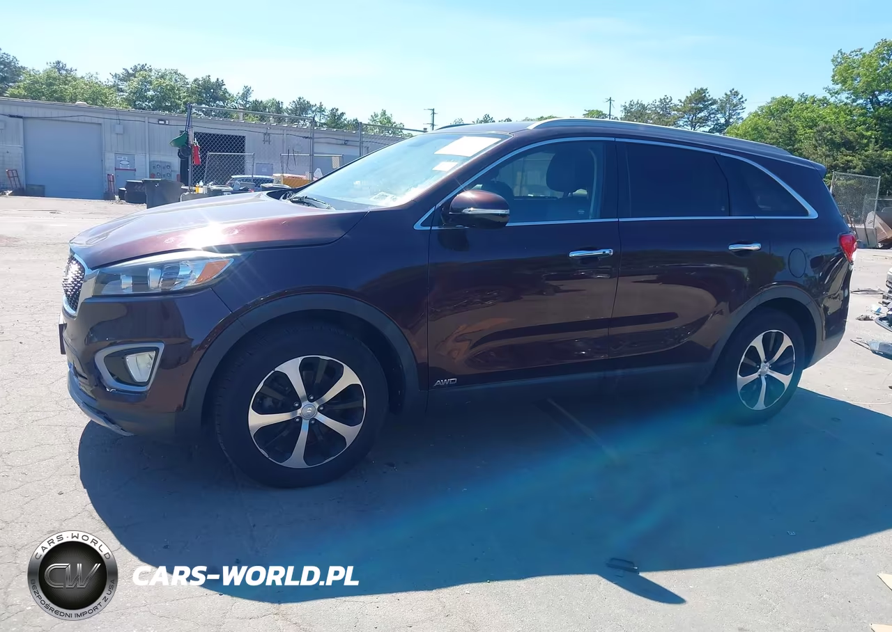2016 Kia Sorento 2.0T Ex VIN:5XYPHDA15GG036745 - 14