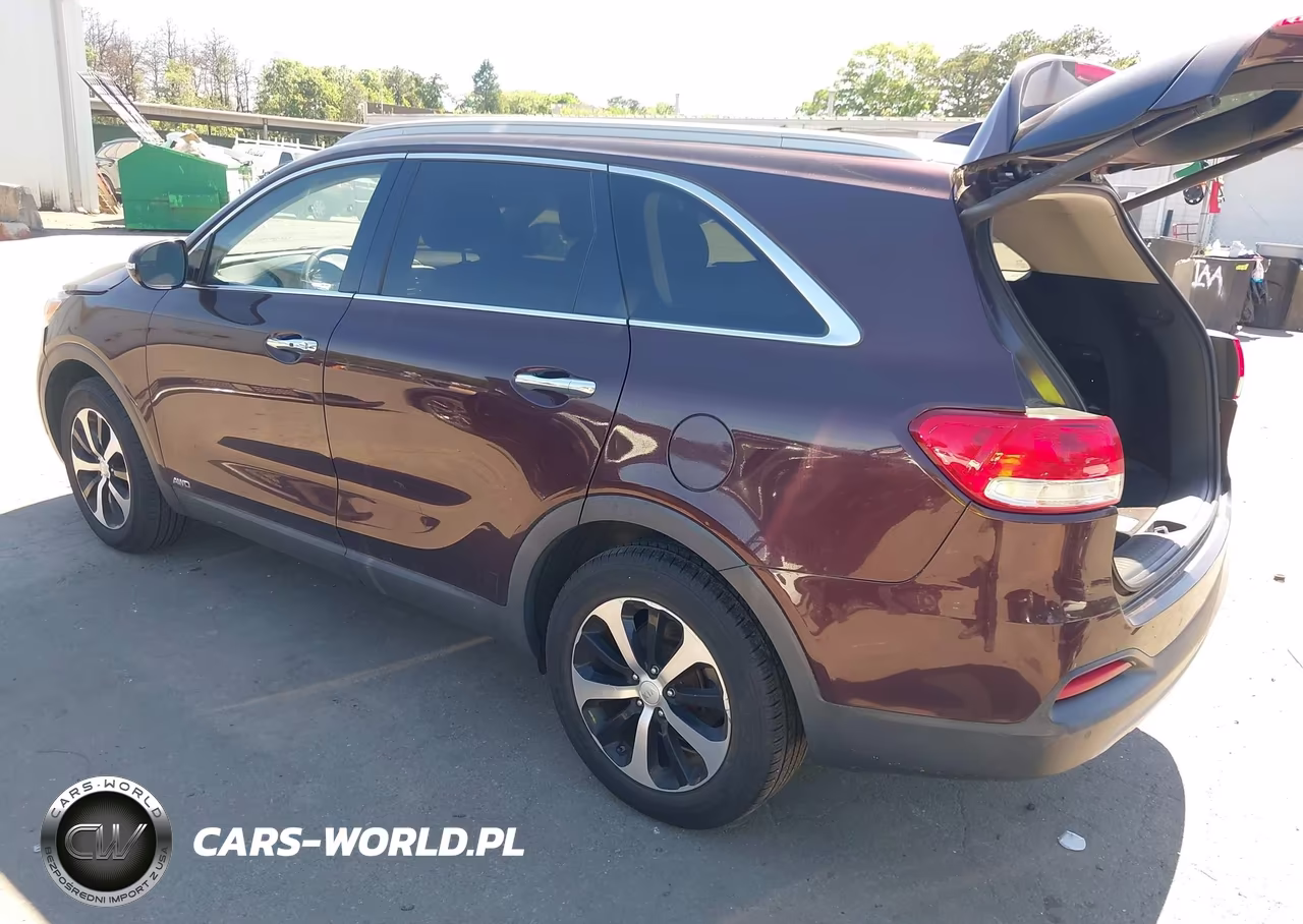 2016 Kia Sorento 2.0T Ex VIN:5XYPHDA15GG036745 - 3
