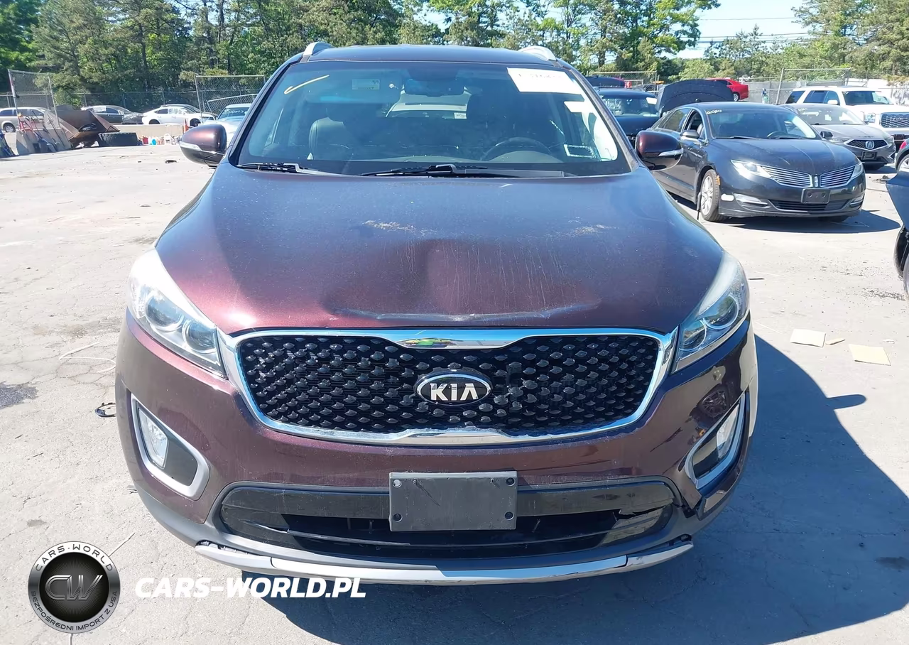 2016 Kia Sorento 2.0T Ex VIN:5XYPHDA15GG036745 - 6