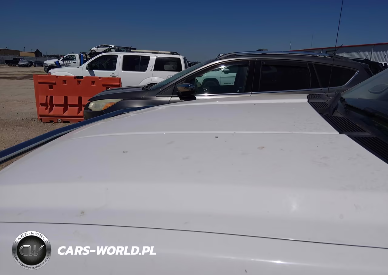 2008 Chevrolet Silverado 1500 Lt1 VIN:1GCEK19JX8Z315882 - 6