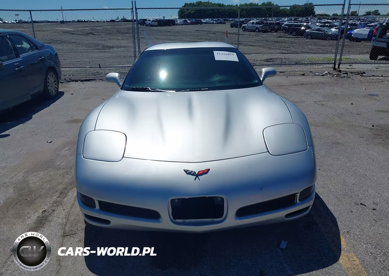 2002 Chevrolet Corvette Z06 Hardtop VIN:1G1YY12S825108137 - 12