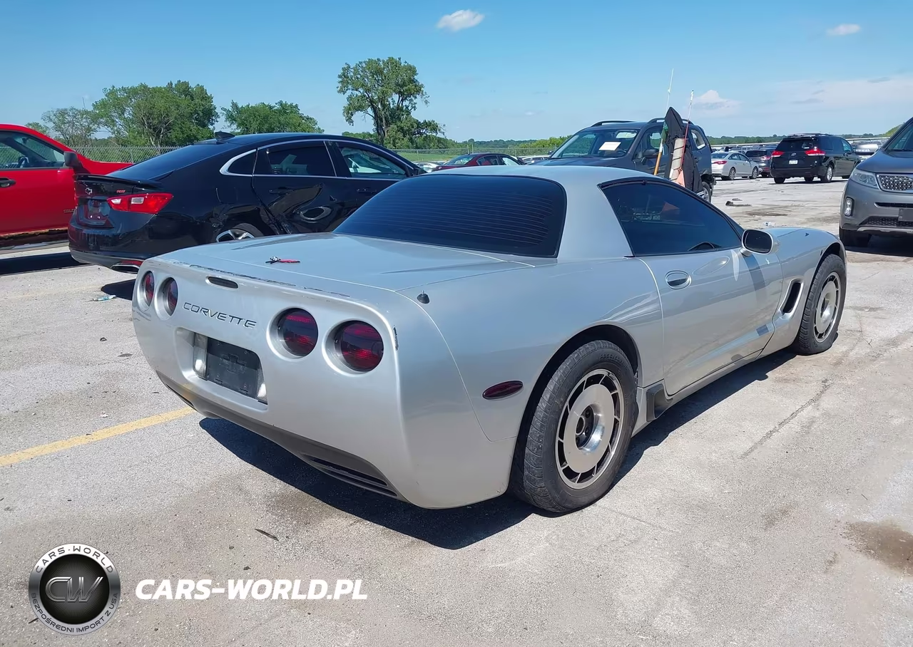 2002 Chevrolet Corvette Z06 Hardtop VIN:1G1YY12S825108137 - 4