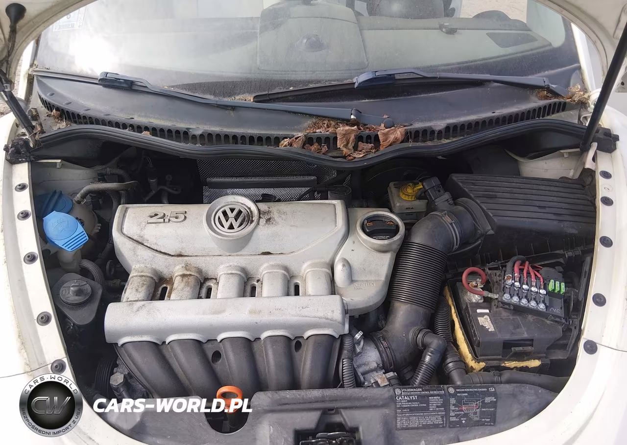 2007 Volkswagen New Beetle Triple White VIN:3VWFF31Y97M419662 - 10
