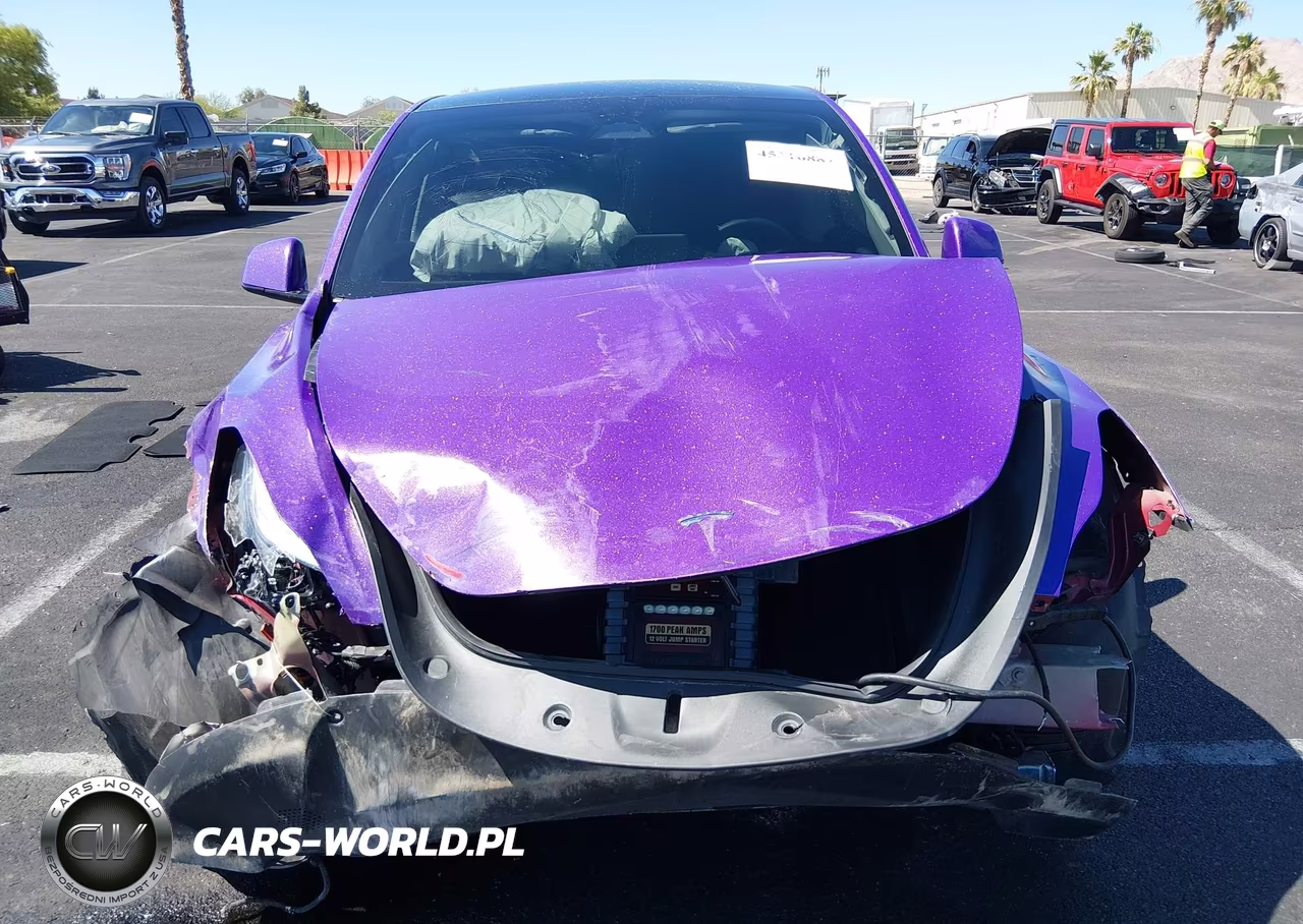 2024 Tesla Model Y Performance Dual Motor All-Wheel Drive VIN:7SAYGDEF4RF158975 - 12