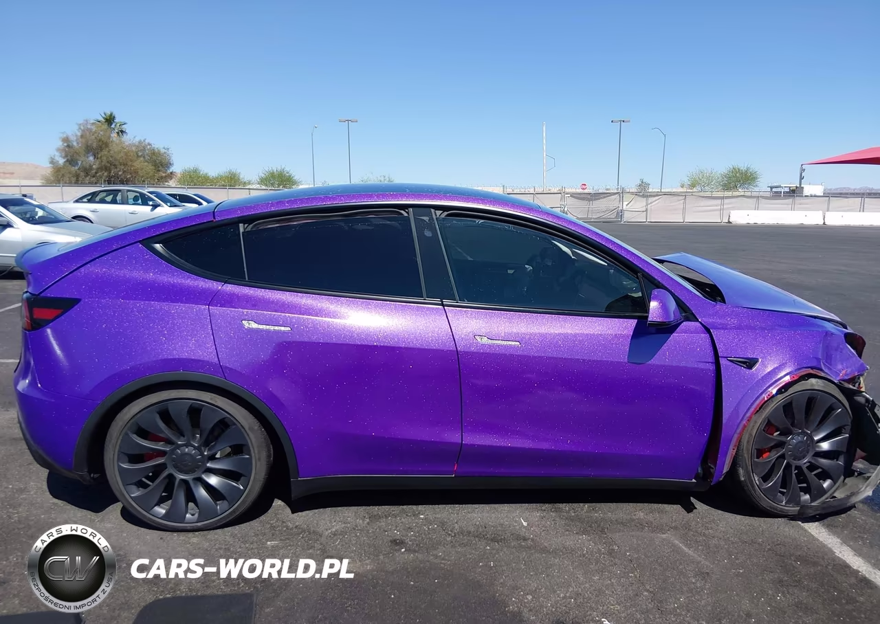 2024 Tesla Model Y Performance Dual Motor All-Wheel Drive VIN:7SAYGDEF4RF158975 - 13