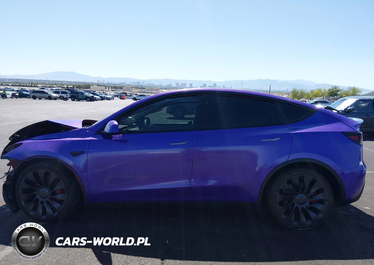 2024 Tesla Model Y Performance Dual Motor All-Wheel Drive VIN:7SAYGDEF4RF158975 - 14