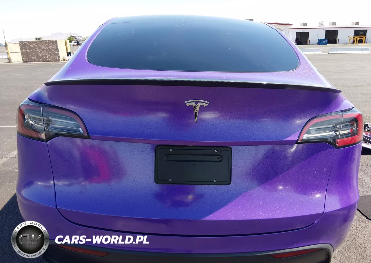 2024 Tesla Model Y Performance Dual Motor All-Wheel Drive VIN:7SAYGDEF4RF158975 - 16