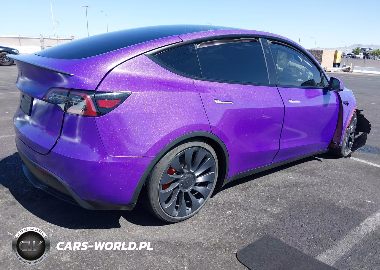 2024 Tesla Model Y Performance Dual Motor All-Wheel Drive VIN:7SAYGDEF4RF158975 - 4