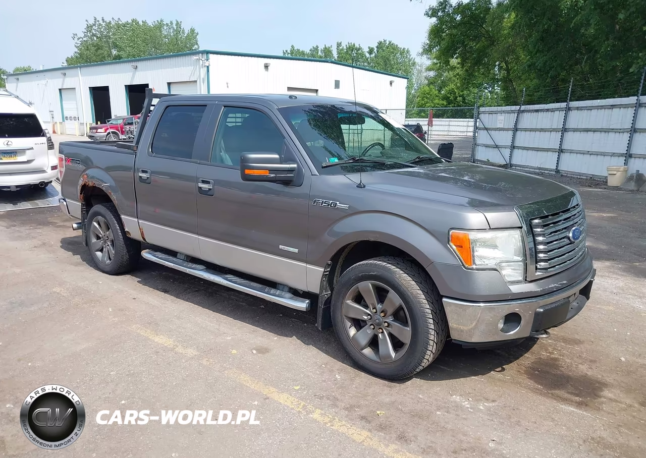 2011 Ford F-150 Xlt – zdjęcie 1 z 19