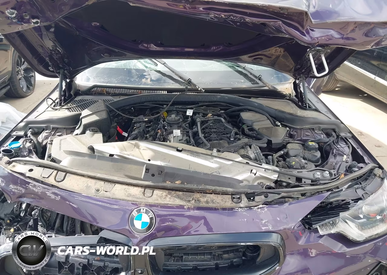 2023 BMW M240 I xDrive VIN:3MW53CM01P8C80811 - 10