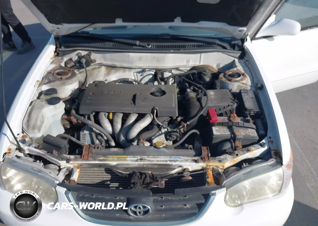 2001 Toyota Corolla Le VIN:1NXBR12EX1Z530205 - 10