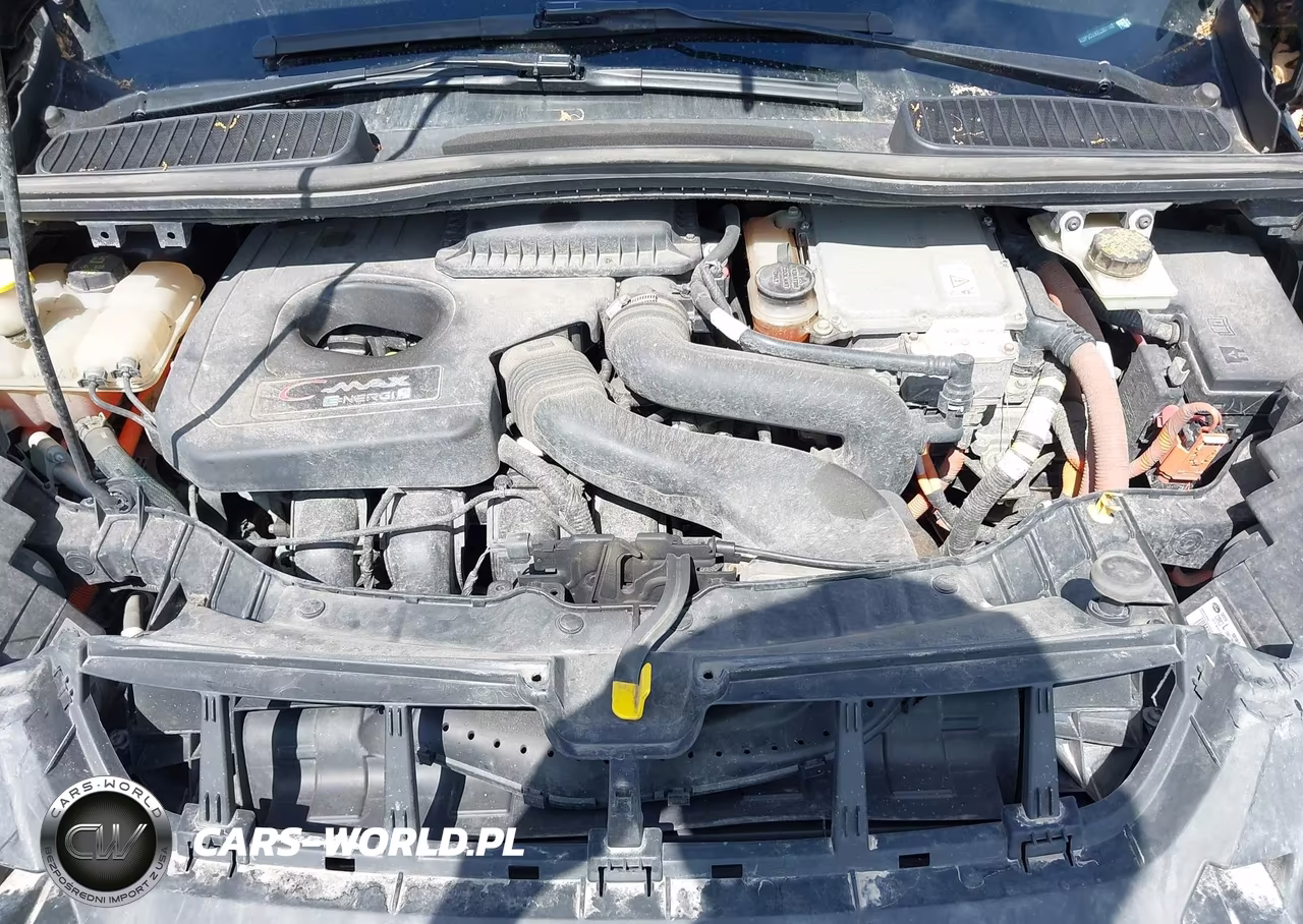 2014 Ford C-Max Energi Sel VIN:1FADP5CUXEL501160 - 10