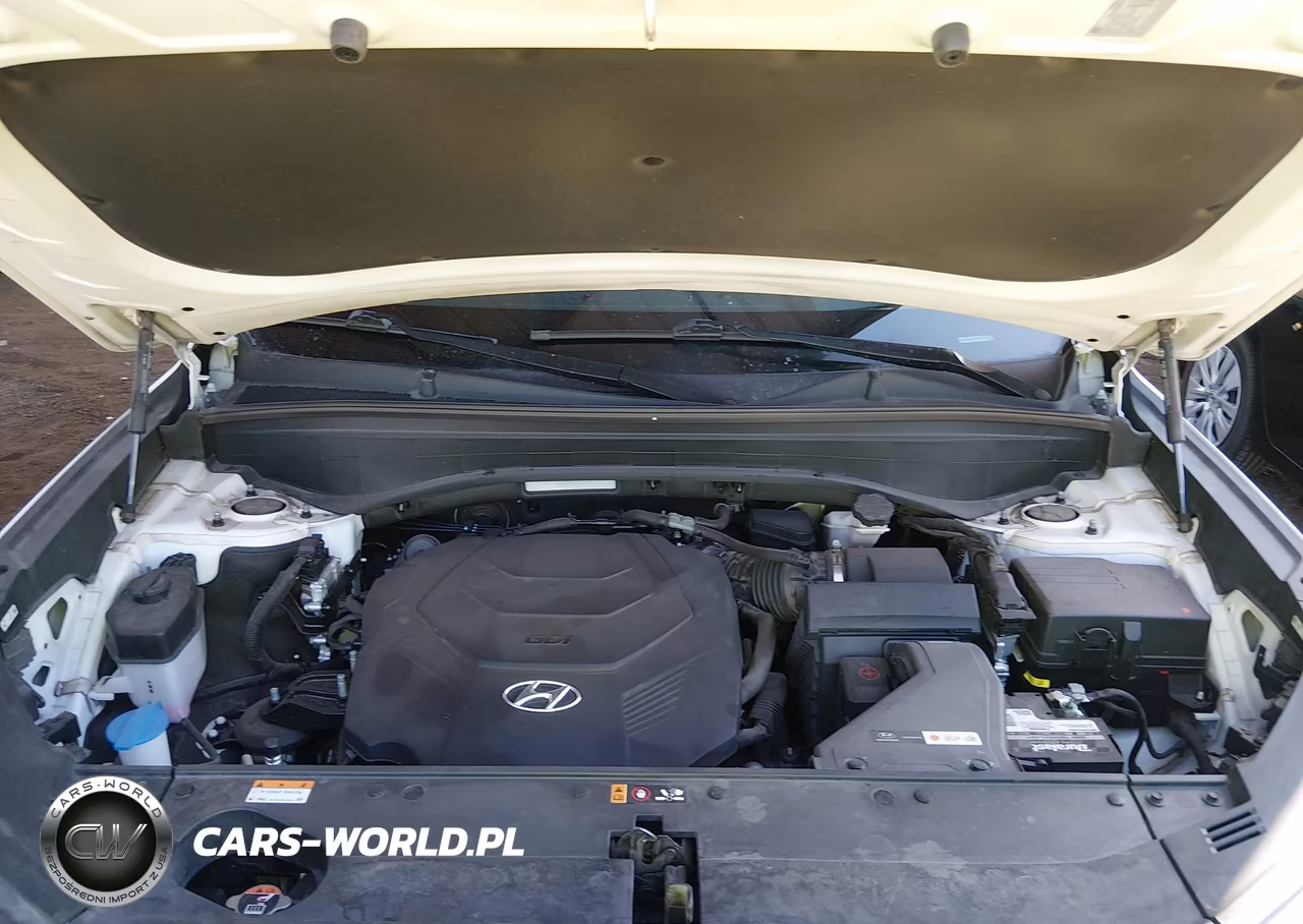 2022 Hyundai Palisade Calligraphy VIN:KM8R7DHE3NU370039 - 10