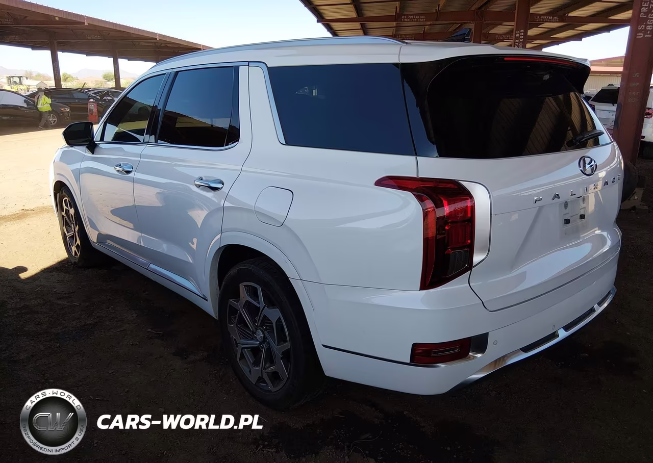 2022 Hyundai Palisade Calligraphy VIN:KM8R7DHE3NU370039 - 3