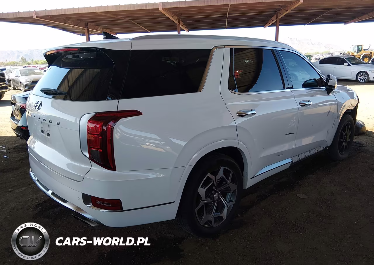 2022 Hyundai Palisade Calligraphy VIN:KM8R7DHE3NU370039 - 4