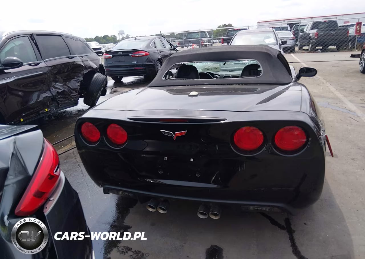 CHEVROLET CORVETTE VIN:1G1YY34U455117125 - 16