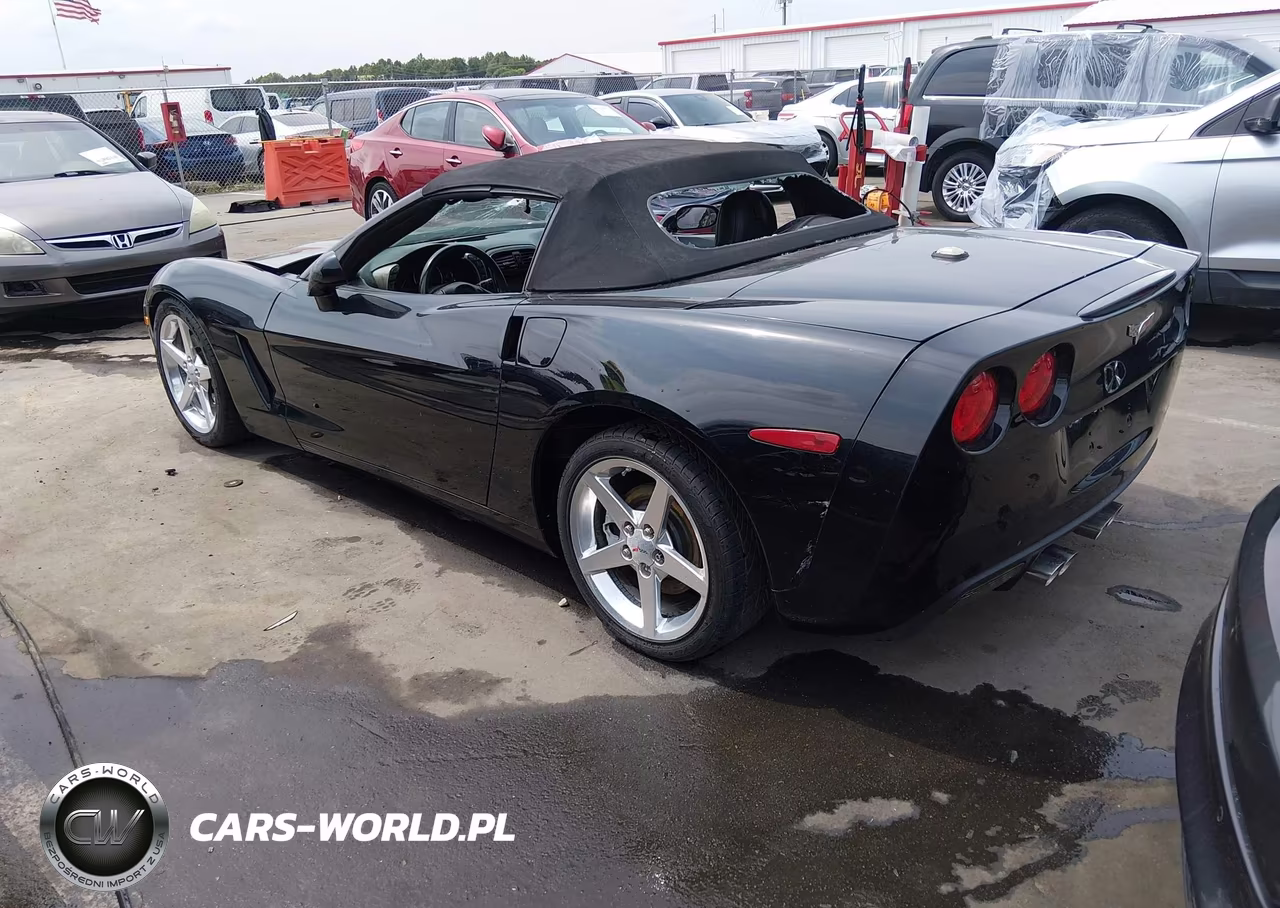 CHEVROLET CORVETTE VIN:1G1YY34U455117125 - 3