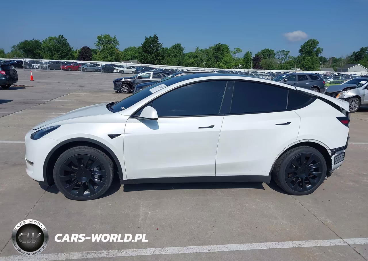 2020 Tesla Model Y Long Range Dual Motor All-Wheel Drive VIN:5YJYGDEE4LF014337 - 15