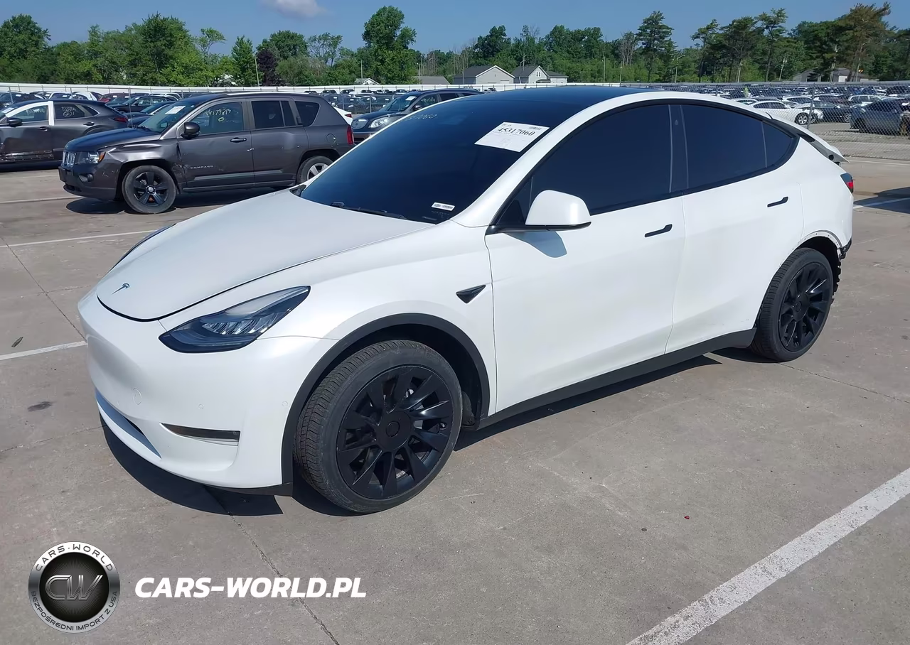 2020 Tesla Model Y Long Range Dual Motor All-Wheel Drive VIN:5YJYGDEE4LF014337 - 2