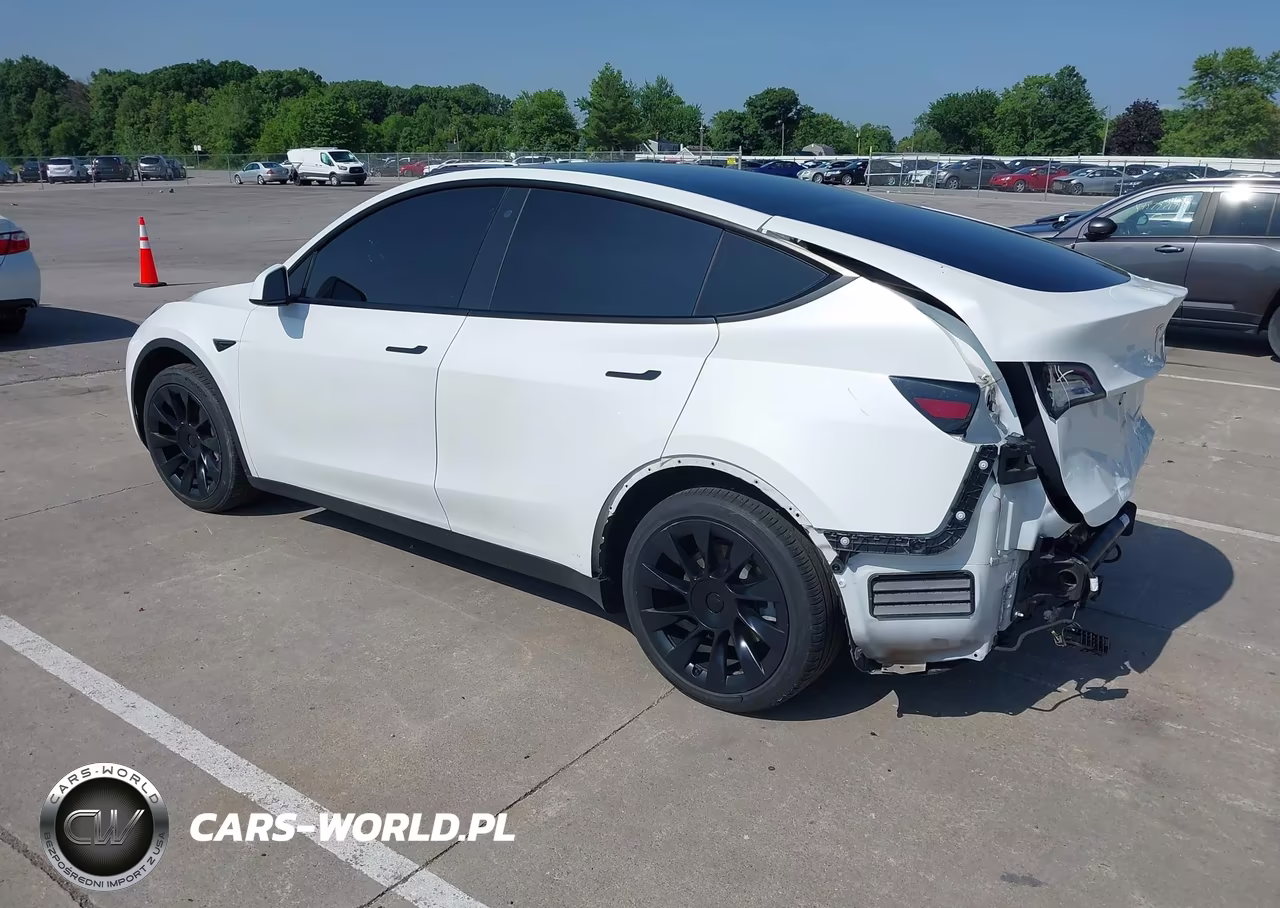 2020 Tesla Model Y Long Range Dual Motor All-Wheel Drive VIN:5YJYGDEE4LF014337 - 3