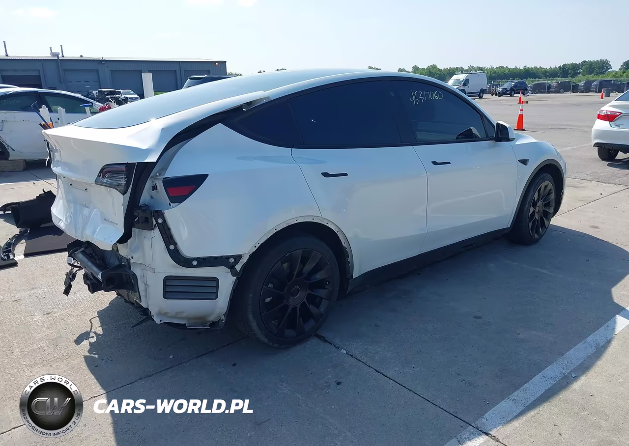 2020 Tesla Model Y Long Range Dual Motor All-Wheel Drive VIN:5YJYGDEE4LF014337 - 4