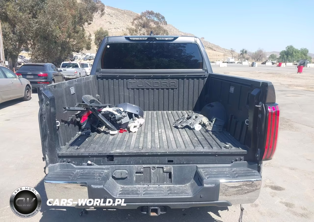 2023 Toyota Tundra 1794 Edition VIN:5TFMA5DBXPX104147 - 17