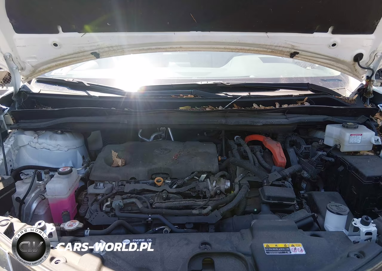 2022 Toyota Sienna Xle VIN:5TDJSKFC3NS065067 - 10