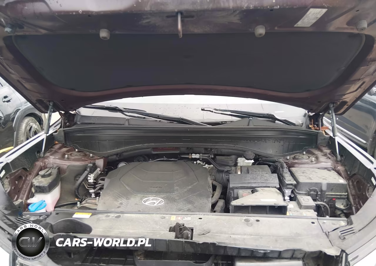 2024 Hyundai Palisade Calligraphy VIN:KM8R7DGE5RU692415 - 10