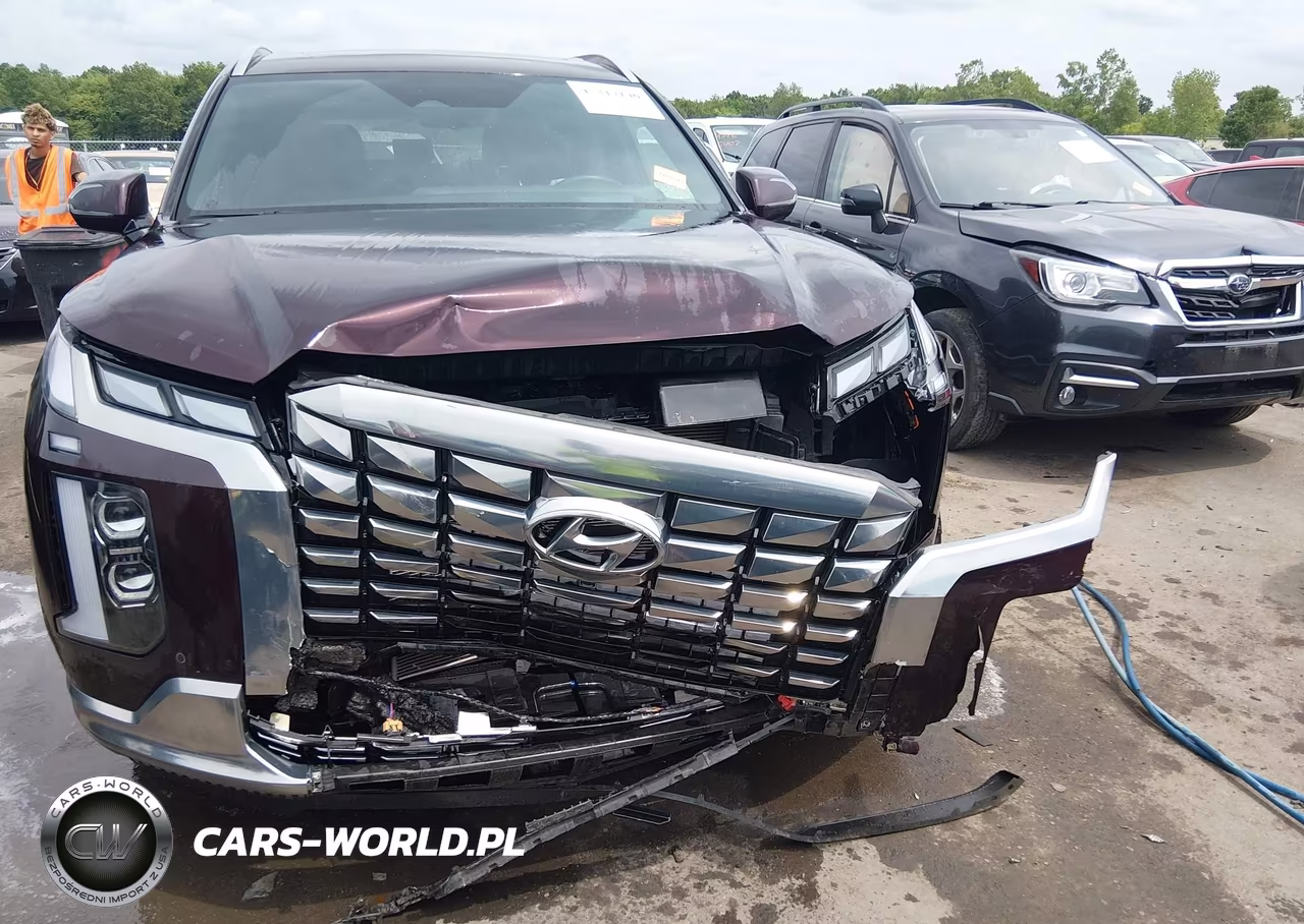 2024 Hyundai Palisade Calligraphy VIN:KM8R7DGE5RU692415 - 12