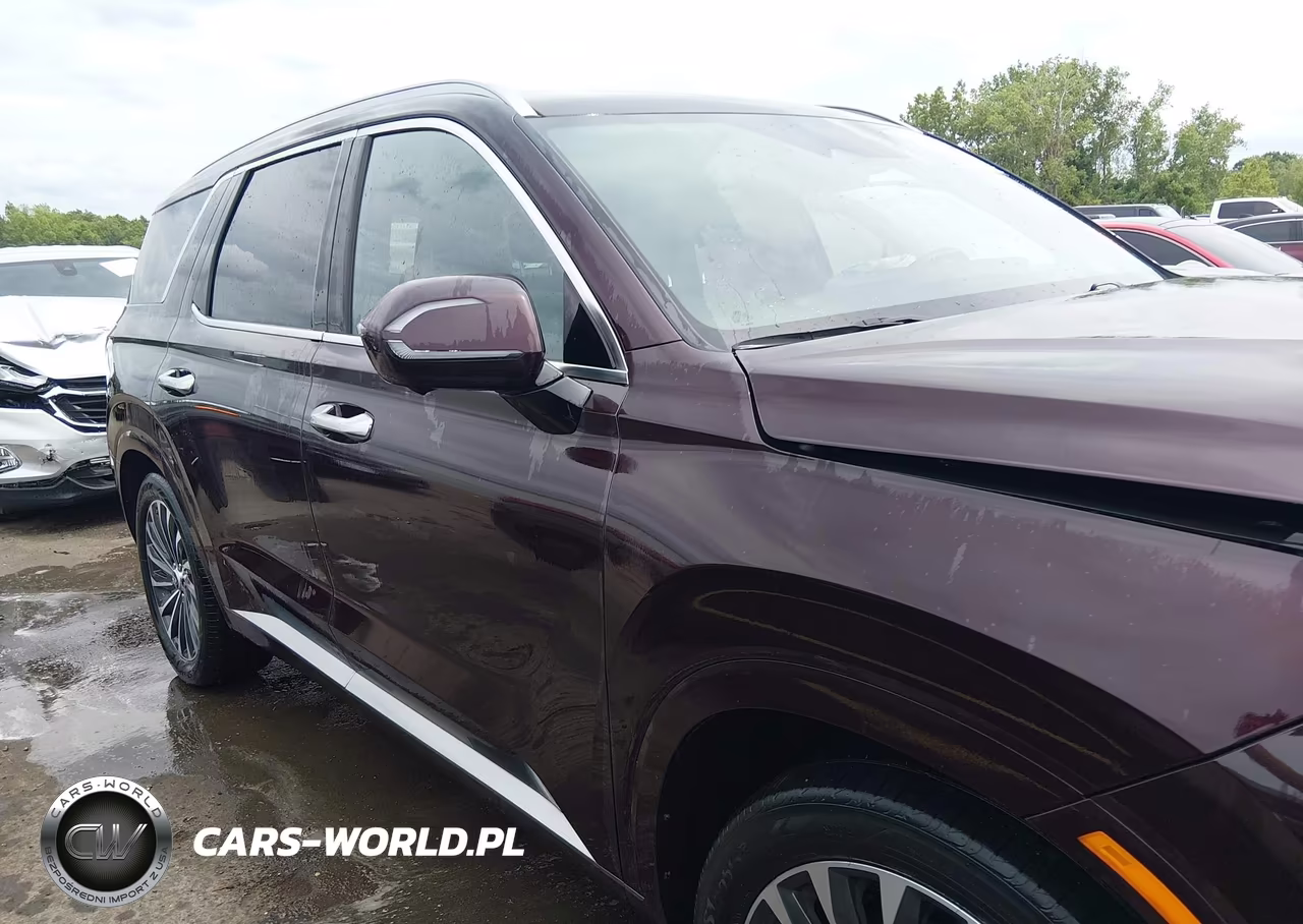 2024 Hyundai Palisade Calligraphy VIN:KM8R7DGE5RU692415 - 13