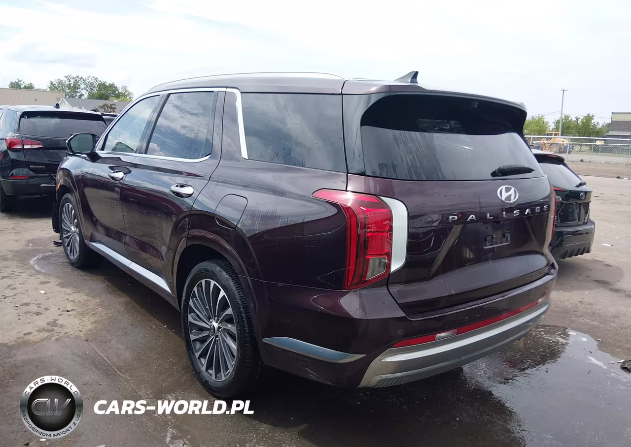 2024 Hyundai Palisade Calligraphy VIN:KM8R7DGE5RU692415 - 3