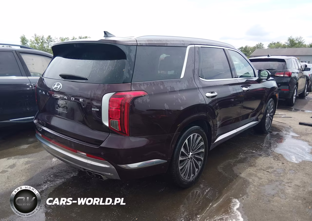 2024 Hyundai Palisade Calligraphy VIN:KM8R7DGE5RU692415 - 4