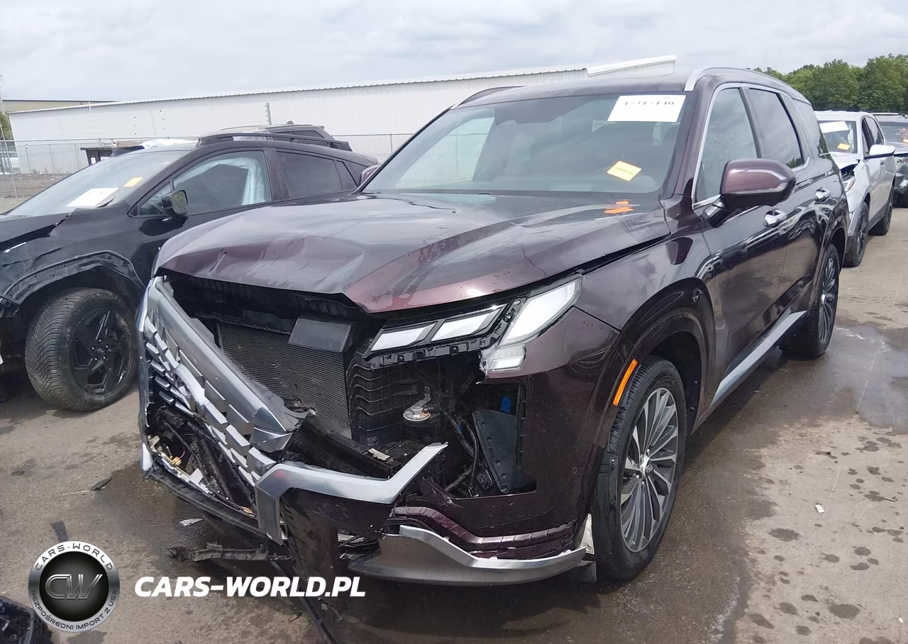 2024 Hyundai Palisade Calligraphy VIN:KM8R7DGE5RU692415 - 6