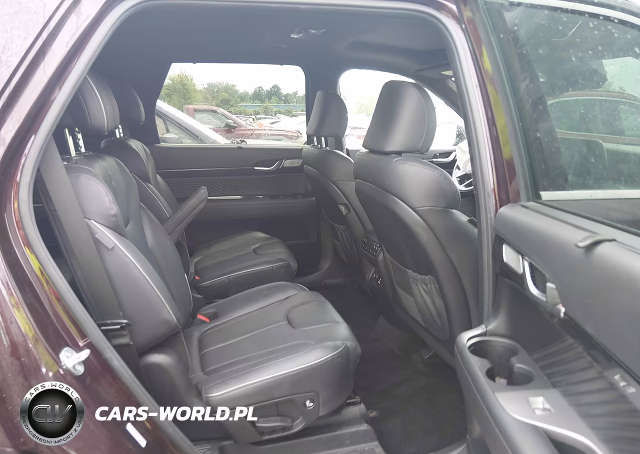 2024 Hyundai Palisade Calligraphy VIN:KM8R7DGE5RU692415 - 8