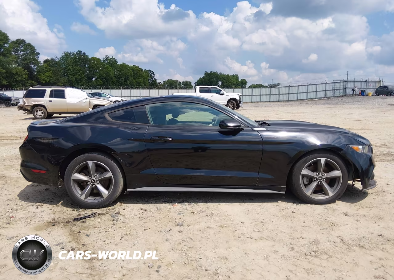 2016 Ford Mustang V6 VIN:1FA6P8AM7G5215044 - 14
