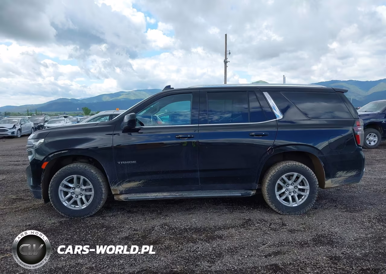 2021 Chevrolet Tahoe 4Wd Ls VIN:1GNSKMED0MR294434 - 17