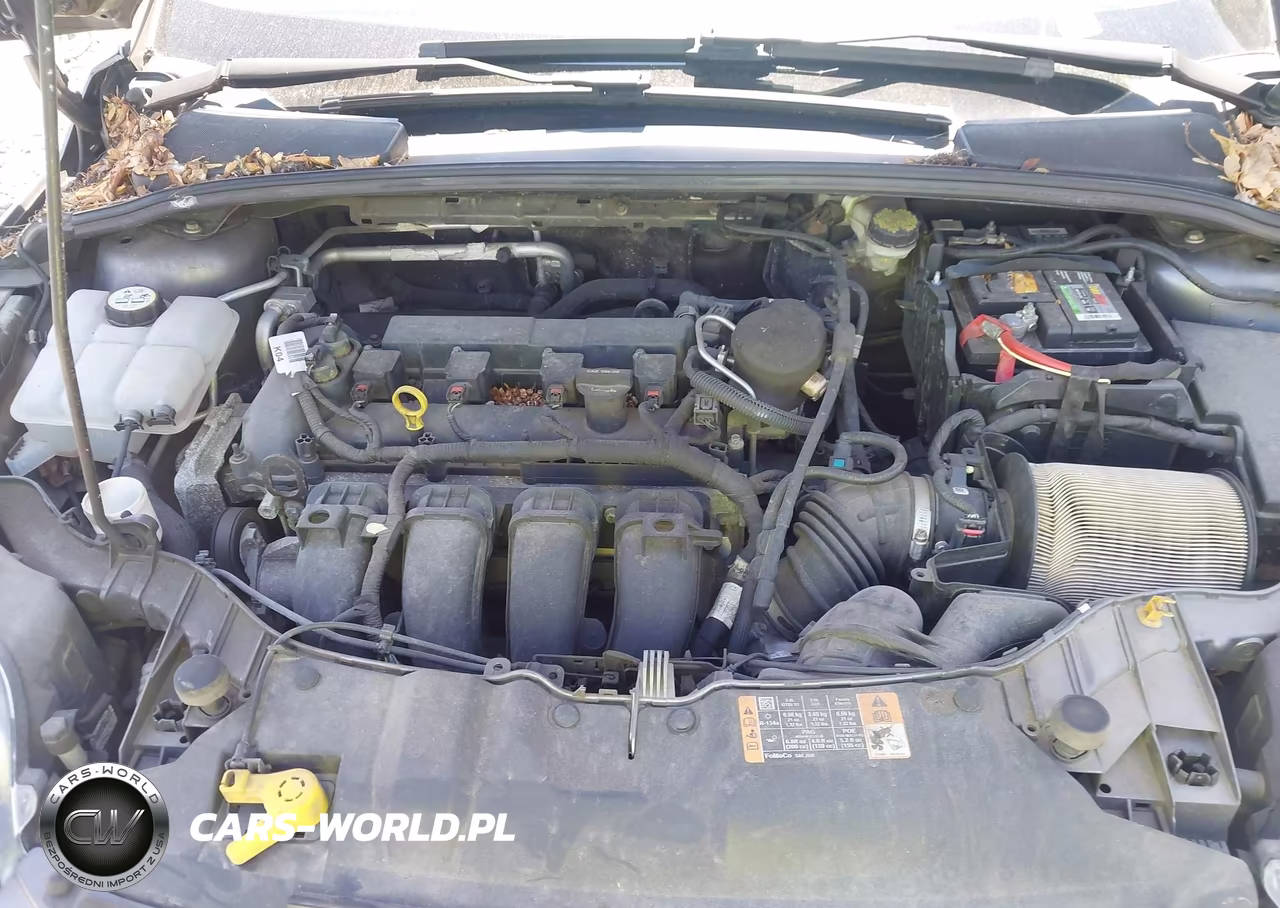 2014 Ford Focus Se VIN:1FADP3F25EL368791 - 10