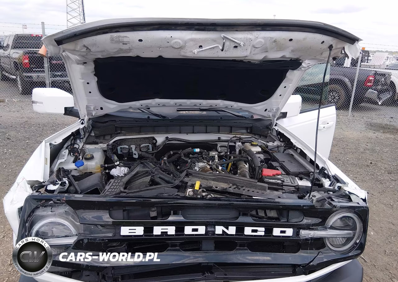 2024 Ford Bronco Outer Banks VIN:1FMEE8BPXRLA21154 - 10
