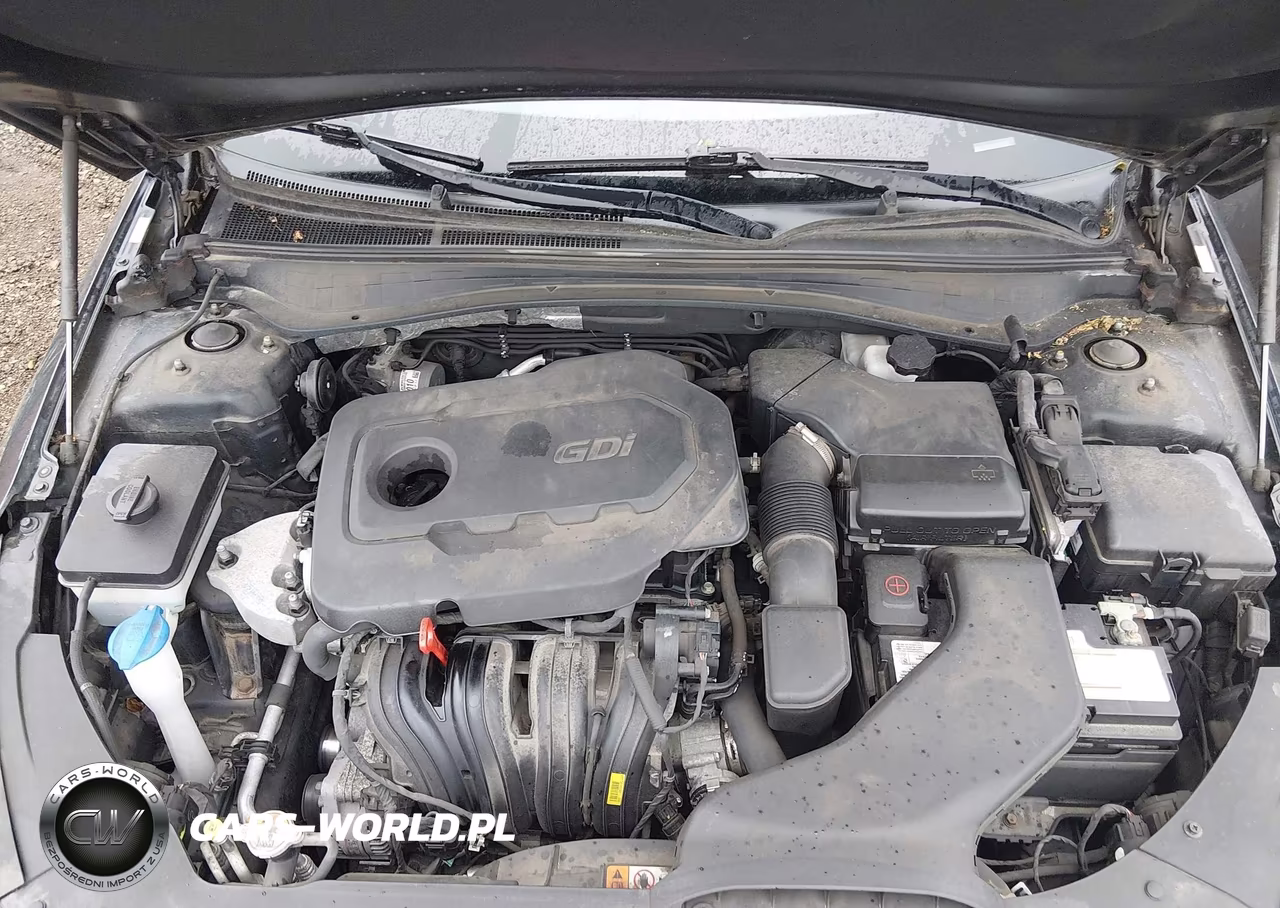 2016 Kia Optima Lx VIN:5XXGT4L34GG027553 - 10