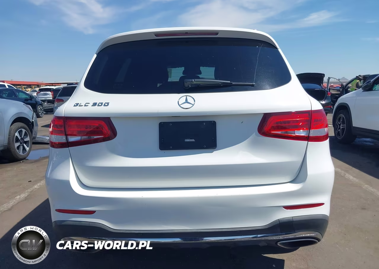 2019 Mercedes-Benz Glc 300 VIN:WDC0G4JB9KV146934 - 16