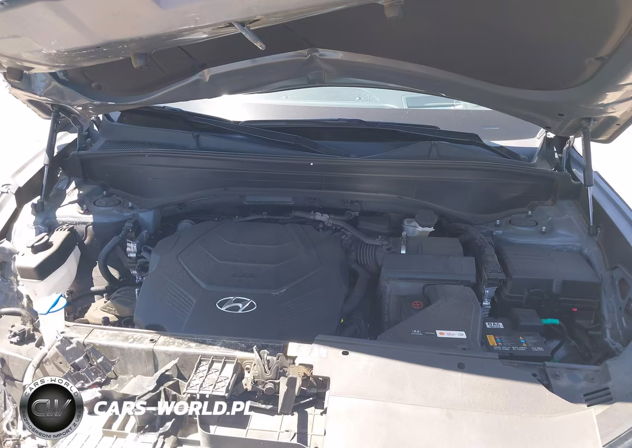 2023 Hyundai Palisade Calligraphy VIN:KM8R74GE7PU542299 - 10