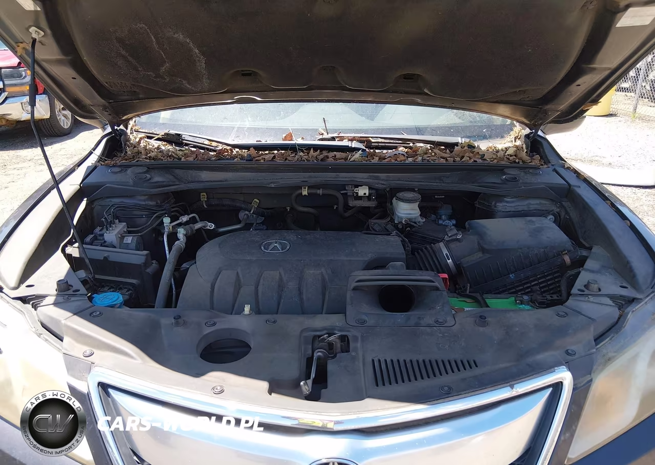 2013 Acura Rdx VIN:5J8TB3H34DL002024 - 10
