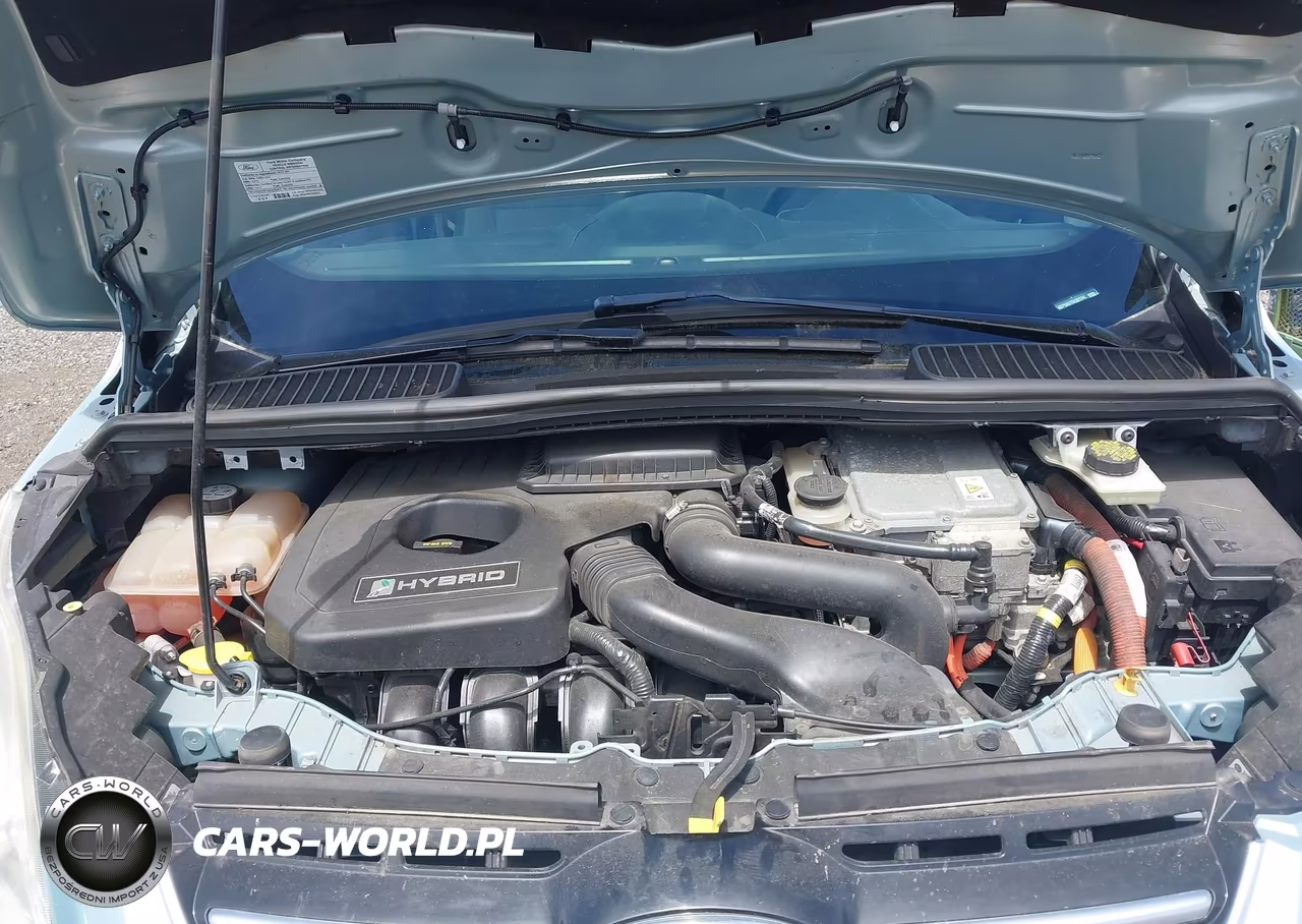 2013 Ford C-Max Hybrid Se VIN:1FADP5AU7DL521741 - 10